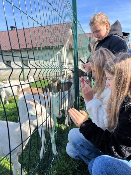 Екскурсія на козину ферму Мукко